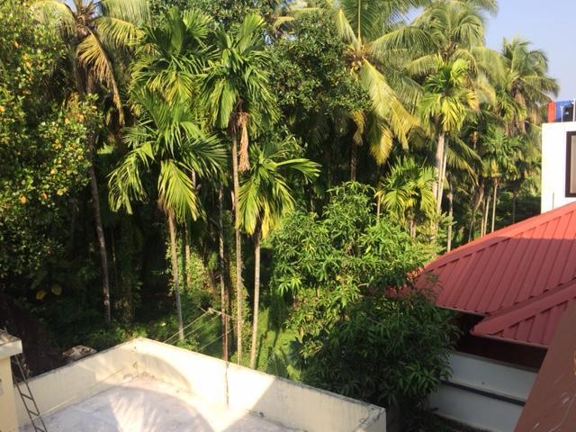 Greenview Homestay Kochi المظهر الخارجي الصورة